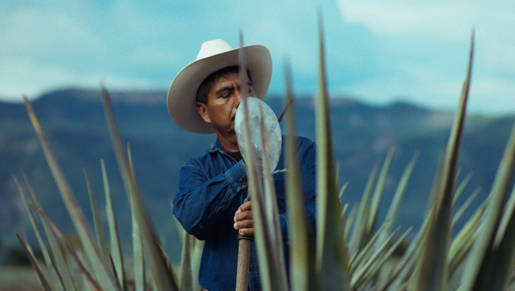 Fernando Pérez thumbnail