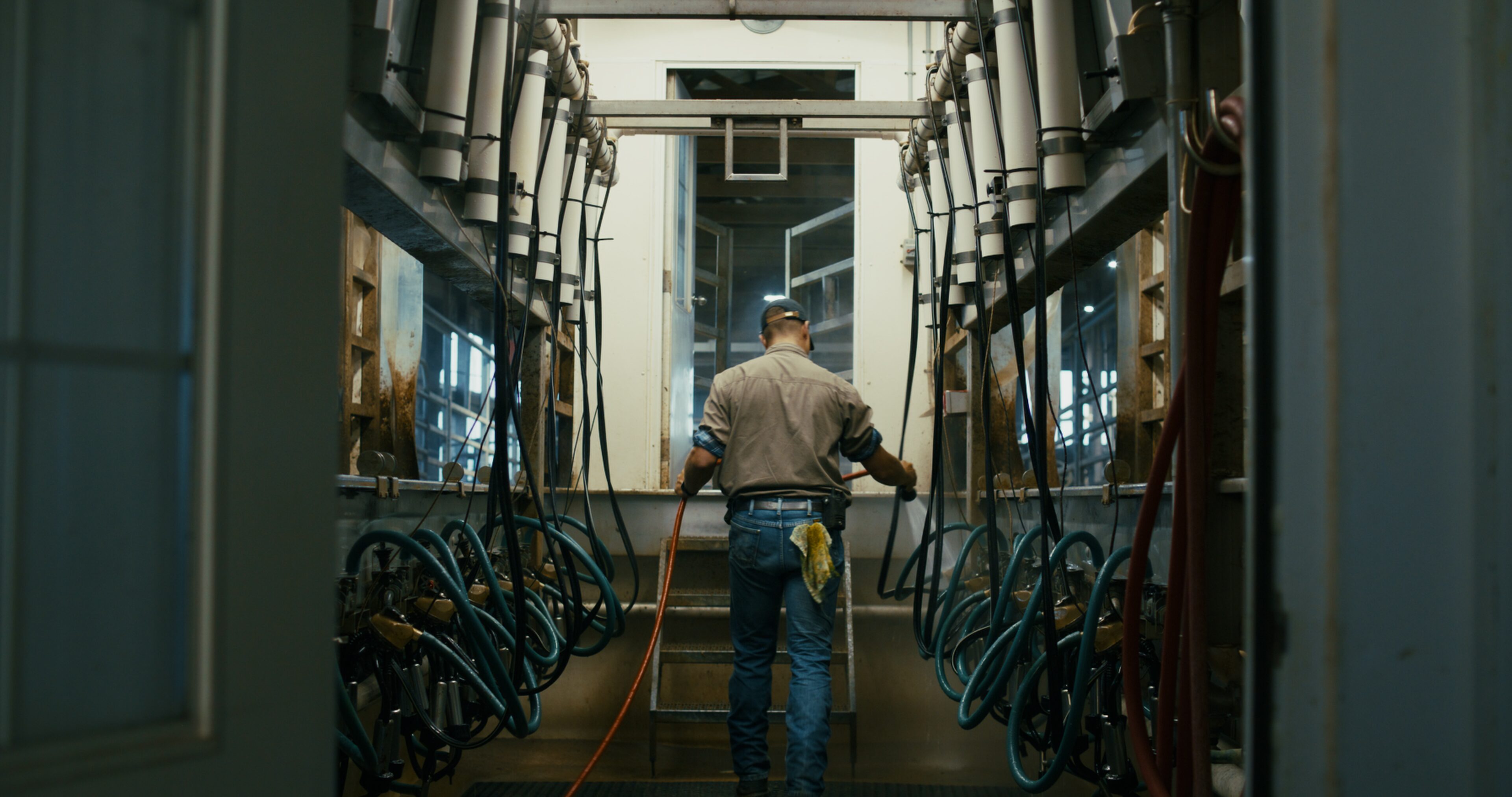 More Than Wires thumbnail